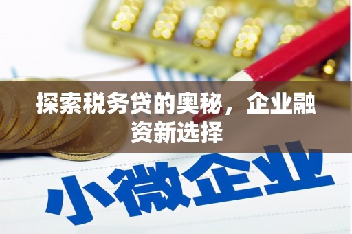 嘉黎探索税务贷的奥秘，企业融资新选择