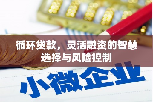 嘉黎循环贷款，灵活融资的智慧选择与风险控制