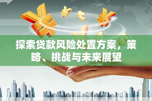 嘉黎探索贷款风险处置方案，策略、挑战与未来展望