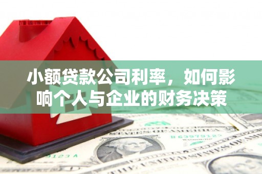 嘉黎小额贷款公司利率，如何影响个人与企业的财务决策