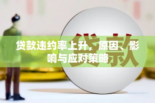 嘉黎贷款违约率上升，原因、影响与应对策略
