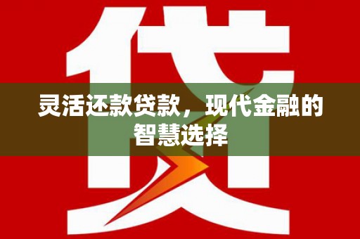 嘉黎灵活还款贷款，现代金融的智慧选择