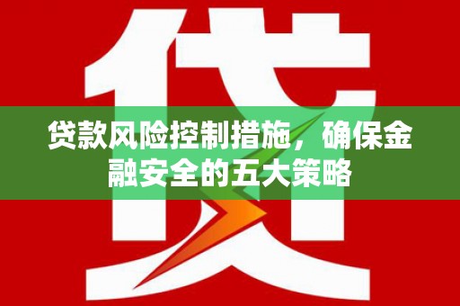 嘉黎贷款风险控制措施，确保金融安全的五大策略