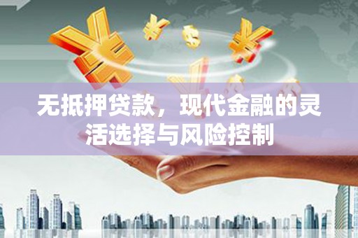 嘉黎无抵押贷款，现代金融的灵活选择与风险控制