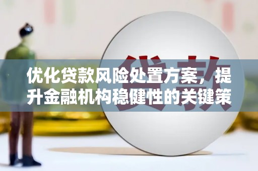 嘉黎优化贷款风险处置方案，提升金融机构稳健性的关键策略