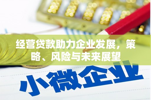 嘉黎经营贷款助力企业发展，策略、风险与未来展望
