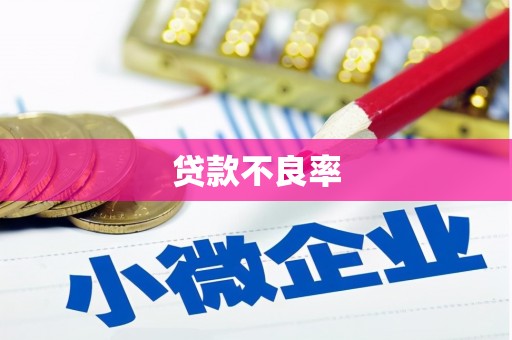 嘉黎贷款不良率