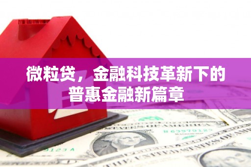 嘉黎微粒贷，金融科技革新下的普惠金融新篇章
