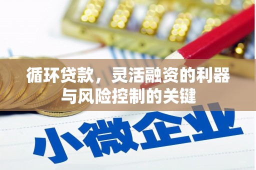 嘉黎循环贷款，灵活融资的利器与风险控制的关键