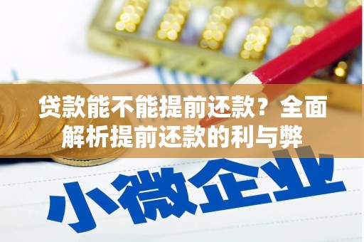 嘉黎贷款能不能提前还款？全面解析提前还款的利与弊