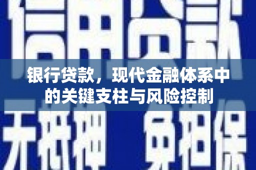 嘉黎银行贷款，现代金融体系中的关键支柱与风险控制