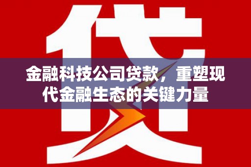 嘉黎金融科技公司贷款，重塑现代金融生态的关键力量