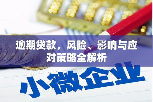 嘉黎逾期贷款，风险、影响与应对策略全解析
