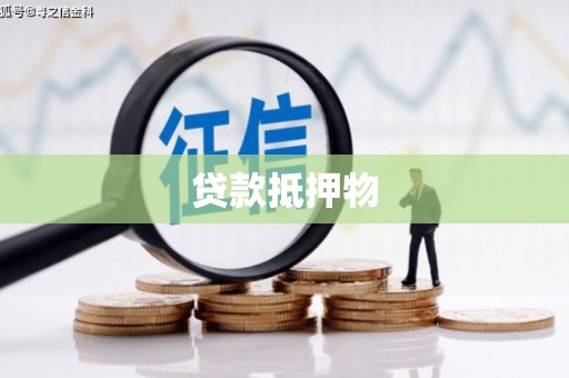 嘉黎贷款抵押物