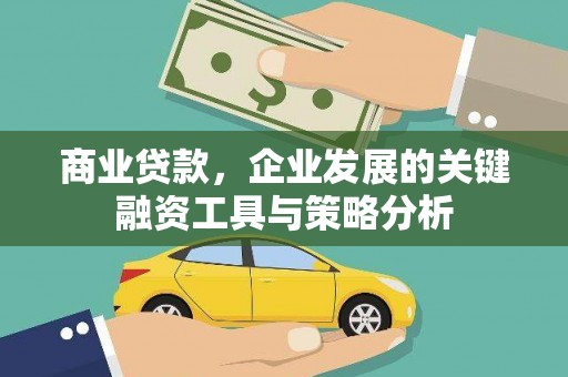 嘉黎商业贷款，企业发展的关键融资工具与策略分析