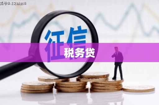 嘉黎税务贷