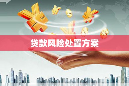 嘉黎贷款风险处置方案