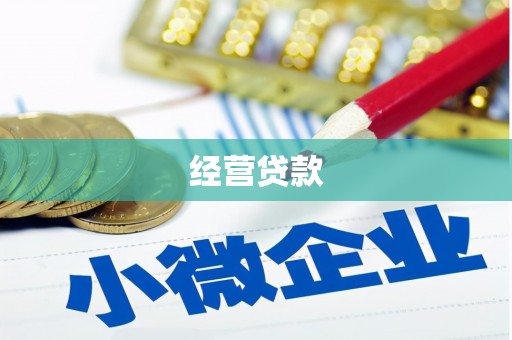 嘉黎经营贷款
