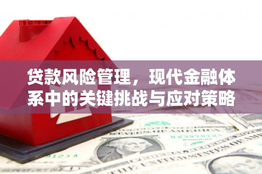 嘉黎贷款风险管理，现代金融体系中的关键挑战与应对策略