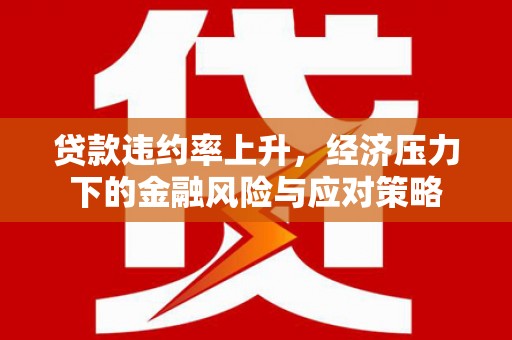 嘉黎贷款违约率上升，经济压力下的金融风险与应对策略