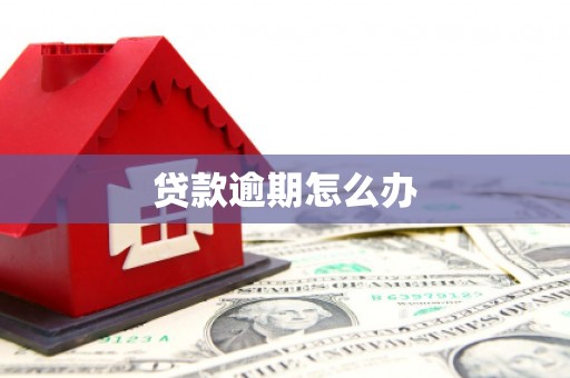 嘉黎贷款逾期怎么办