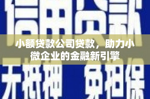 嘉黎小额贷款公司贷款，助力小微企业的金融新引擎