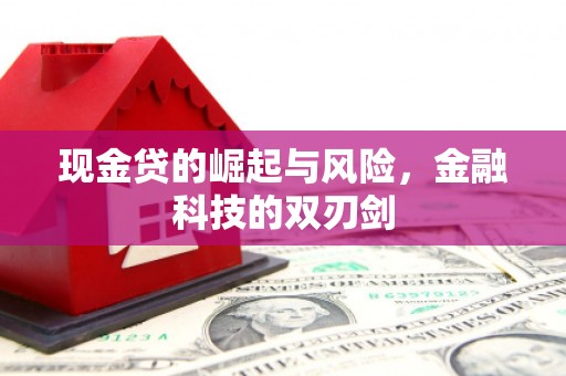 嘉黎现金贷的崛起与风险，金融科技的双刃剑