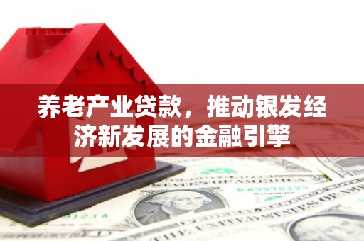 嘉黎养老产业贷款，推动银发经济新发展的金融引擎
