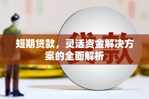 嘉黎短期贷款，灵活资金解决方案的全面解析