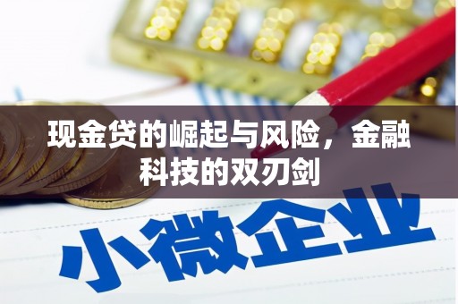 嘉黎现金贷的崛起与风险，金融科技的双刃剑