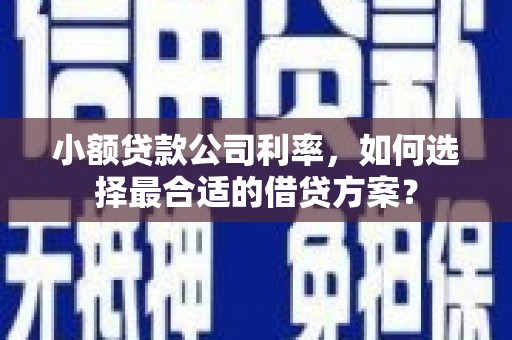 嘉黎小额贷款公司利率，如何选择最合适的借贷方案？