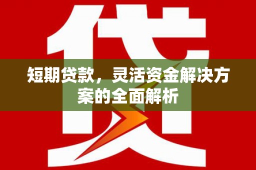 嘉黎短期贷款，灵活资金解决方案的全面解析
