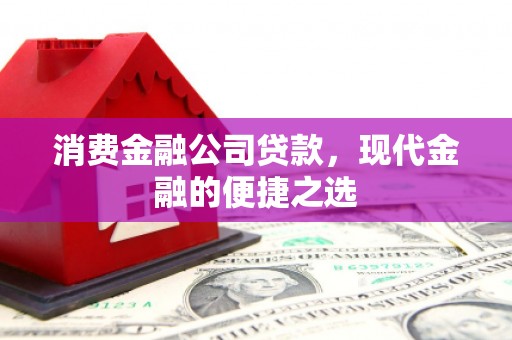 嘉黎消费金融公司贷款，现代金融的便捷之选