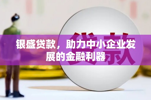 嘉黎银盛贷款，助力中小企业发展的金融利器