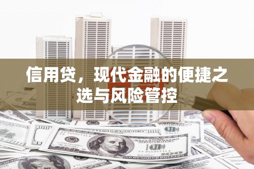 嘉黎信用贷，现代金融的便捷之选与风险管控