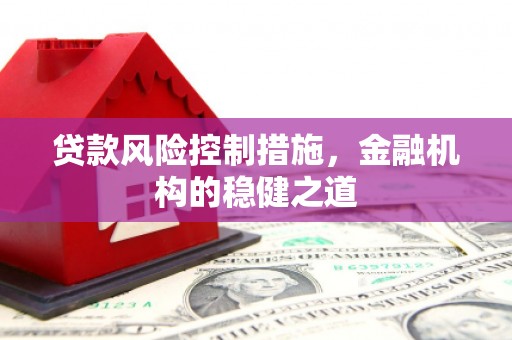 嘉黎贷款风险控制措施，金融机构的稳健之道