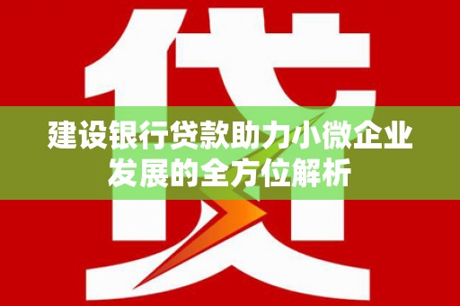 嘉黎建设银行贷款助力小微企业发展的全方位解析