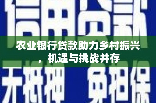 嘉黎农业银行贷款助力乡村振兴，机遇与挑战并存
