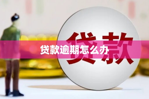 嘉黎贷款逾期怎么办