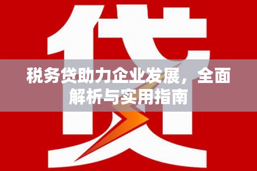 嘉黎税务贷助力企业发展，全面解析与实用指南