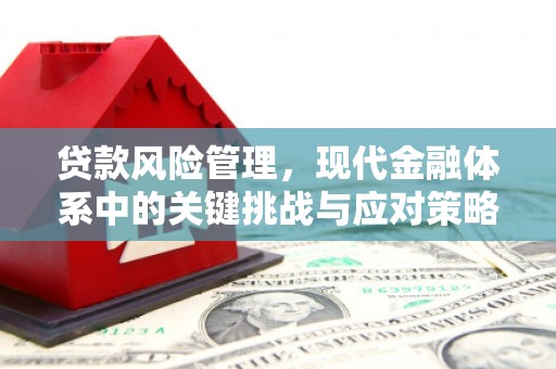 嘉黎贷款风险管理，现代金融体系中的关键挑战与应对策略