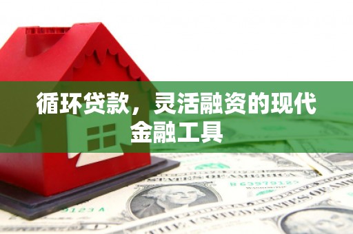 嘉黎循环贷款，灵活融资的现代金融工具