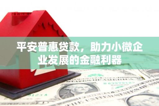 嘉黎平安普惠贷款，助力小微企业发展的金融利器