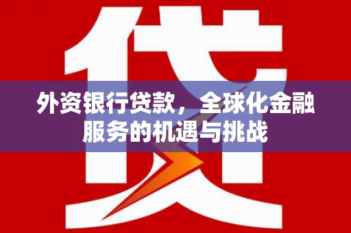 嘉黎外资银行贷款，全球化金融服务的机遇与挑战
