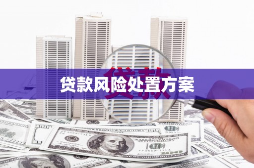嘉黎贷款风险处置方案