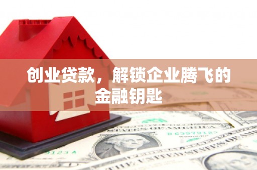 嘉黎创业贷款，解锁企业腾飞的金融钥匙