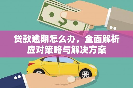 嘉黎贷款逾期怎么办，全面解析应对策略与解决方案