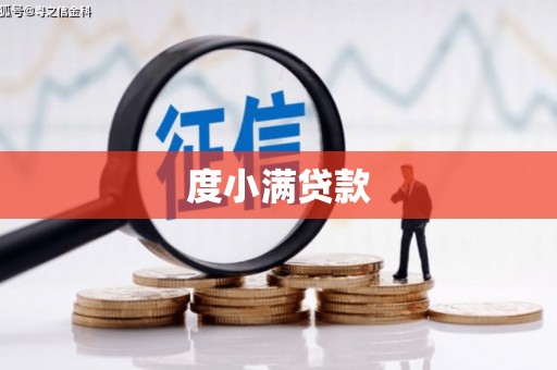 嘉黎度小满贷款