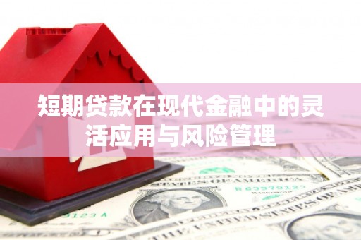 嘉黎短期贷款在现代金融中的灵活应用与风险管理