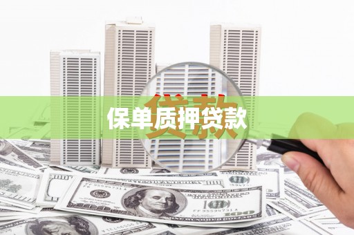 嘉黎保单质押贷款